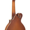 Gold Tone F-10 mandolin back close-up detail showing finish and binding craftsmanship