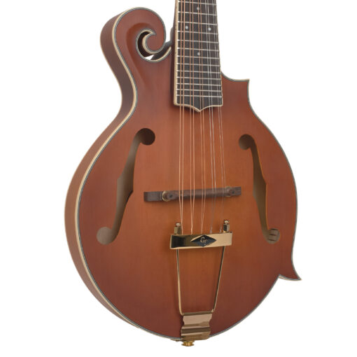 Gold Tone F-10 10-string mandolin full front view showing F-style body shape