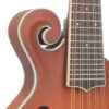 Gold Tone F-10 10-string mandolin front detail view showing tailpiece and bridge transducer pickup