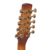Gold Tone F-10 mandolin headstock close-up showing 10-string tuning arrangement and Gold Tone logo