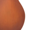 Gold Tone F-10 mandolin back view showing maple back in Vintage Sunburst satin finish