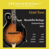Gold Tone flat-back mandolin front view