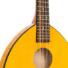 Gold Tone GM-10 Frypan mandolin body and soundhole close-up