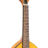 Gold Tone GM-10/L left-handed mandolin neck detail showing rosewood fingerboard and dot inlays