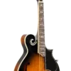Gold Tone GM-35 F-Style Mandolin front view showing tobacco sunburst finish and scroll body shape