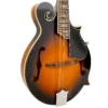 Gold Tone GM-35 mandolin full front view in tobacco sunburst high gloss finish