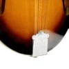 Gold Tone GM-35 left-handed mandolin front body detail showing spruce top and cream ABS binding