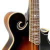 Gold Tone GM-35 mandolin front detail highlighting F-style points and chrome hardware