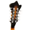 Gold Tone GM-35 headstock detail with ZeroGlide nut and chrome tuning machines