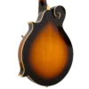 Gold Tone GM-35 mandolin back view showing maple back with tobacco sunburst finish
