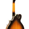 Gold Tone GM-35 mandolin back and sides detail showing maple construction and cream binding