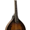 Gold Tone GM-55A mandolin front view for comparison