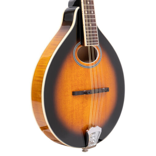 Gold Tone GM-50+ left-handed mandolin full front view showing solid spruce carved top