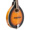 Gold Tone GM-50+ mandolin full front view showing solid spruce top and sunburst finish