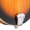 Left-handed Gold Tone GM-50+ mandolin front detail with cream ABS binding and curly maple body