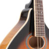 Gold Tone GM-50+/L left-handed mandolin front angled view showing sunburst finish