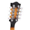 Close-up of Gold Tone GM-50+ left-handed mandolin headstock showing metal tuning buttons