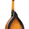 Close-up of curly maple back on Gold Tone GM-50+ left-handed A-style mandolin
