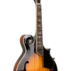 Gold Tone GM-70+ F-style mandolin front view in tobacco sunburst finish with case