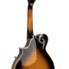Gold Tone GM-70+ mandolin back detail showing cast brass tailpiece and maple back