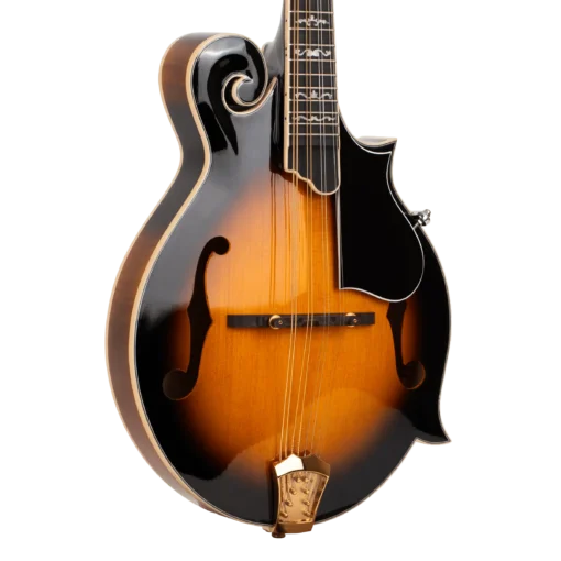 Gold Tone GM-70+ Mastertone mandolin front body detail showing carved spruce top and f-holes