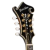 Gold Tone GM-70+ Mandolin headstock front showing Grover tuners and Gold Tone logo