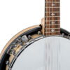 Gold Tone GT-500/L left-handed banjitar natural finish front full-length photo