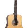 Gold Tone GT-Dread-NA all-solid dreadnought acoustic-electric guitar in satin natural finish, front view