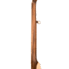 Gold Tone HM-100 left-handed banjo neck detail showing fret work and dot-and-moon position markers