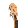 Gold Tone HM-100 left-handed banjo headstock showing GT Master Planetary tuners and cream buttons