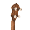Gold Tone HM-100 left-handed banjo headstock close-up showing Gold Tone logo and planetary tuner detail
