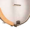 Gold Tone High Moon HM-100A openback banjo front angle view highlighting Crescent tailpiece and Little Mountain maple armrest