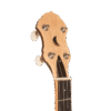 Gold Tone HM-100A High Moon banjo headstock front view showing cream buttons and GT Master Planetary tuners