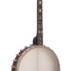 Gold Tone IT-17 Irish tenor banjo front view in vintage brown satin finish