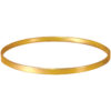 Gold Tone IT-17 Irish tenor banjo rolled brass flat bar tone ring close-up detail