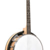 Gold Tone IT-17 Irish tenor banjo front view product comparison image
