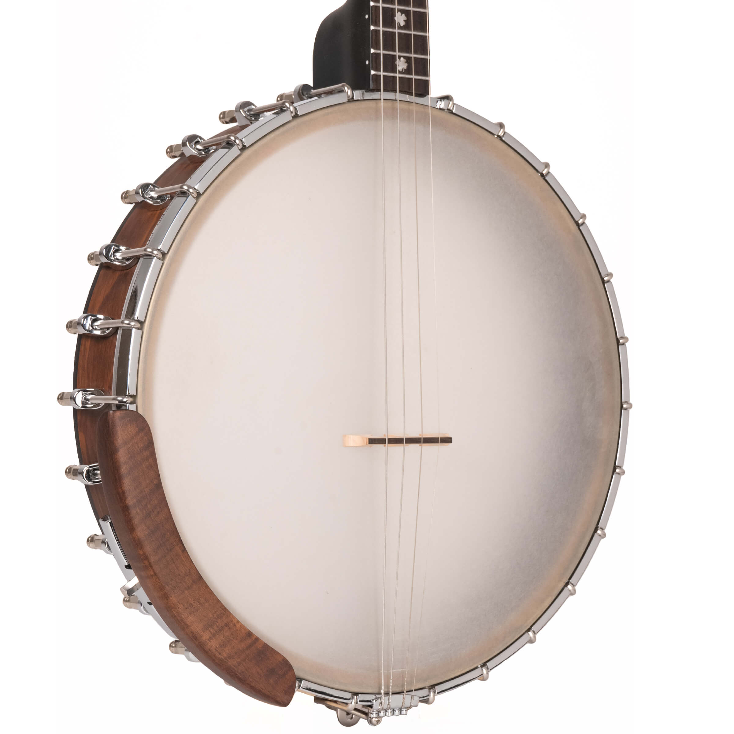 Gold Tone IT-17/L left-handed Irish tenor banjo full front view showing body and neck