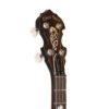 Gold Tone IT-17/L headstock detail showing GT planetary tuners and C-style buttons