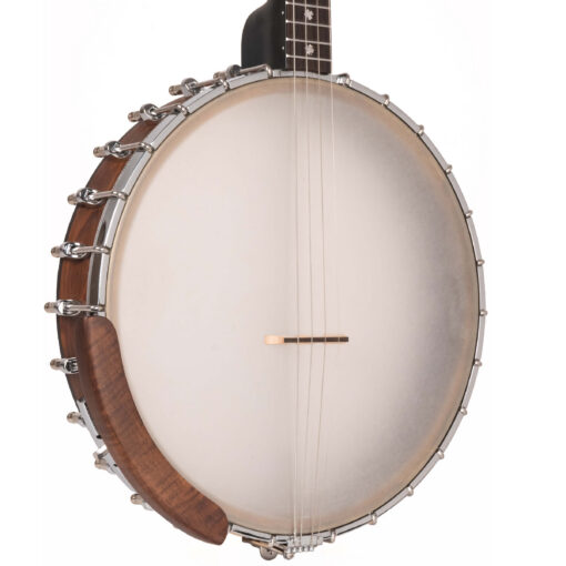 Gold Tone IT-19 Irish Tenor Banjo full front view showing body and neck