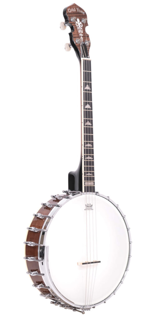 Gold Tone IT-250F Irish Tenor Banjo with Case