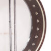 Gold Tone IT-250 Irish tenor banjo back view showing maple neck and Vintage Brown finish