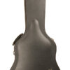 Gold Tone Mandocello hard-shell case included with purchase