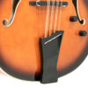 Gold Tone Mandocello full front view highlighting dual pickup system and cutaway body