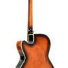 Gold Tone Mandocello back and sides maple construction detail