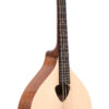 Gold Tone Mandola/L left-handed Celtic mandola front view natural gloss finish