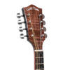 Gold Tone MB-850+ headstock showing open-gear guitar-style tuners and ZeroGlide nut
