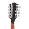 Gold Tone MB-850+ headstock close-up with metal buttons and Gold Tone logo