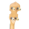 Gold Tone MC-150RP banjo headstock close-up with ZeroGlide nut and planetary gear tuners