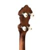 Gold Tone OB-150 Orange Blossom banjo headstock back showing GT planetary tuners and walnut headstock