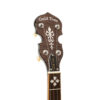 Gold Tone OB-250 banjo headstock showing C-style design and Gotoh planetary tuners